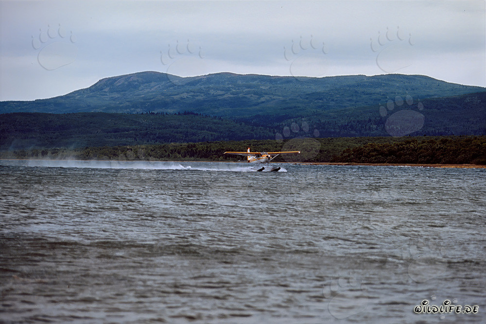 Un hidroavión en el remoto Parque Nacional de Katmai en Alaska