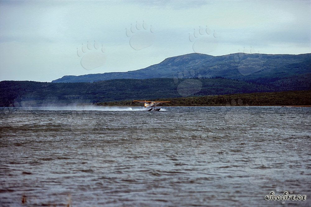 Float plane on the Brooks River in the remote Katmai National Park in Alaska