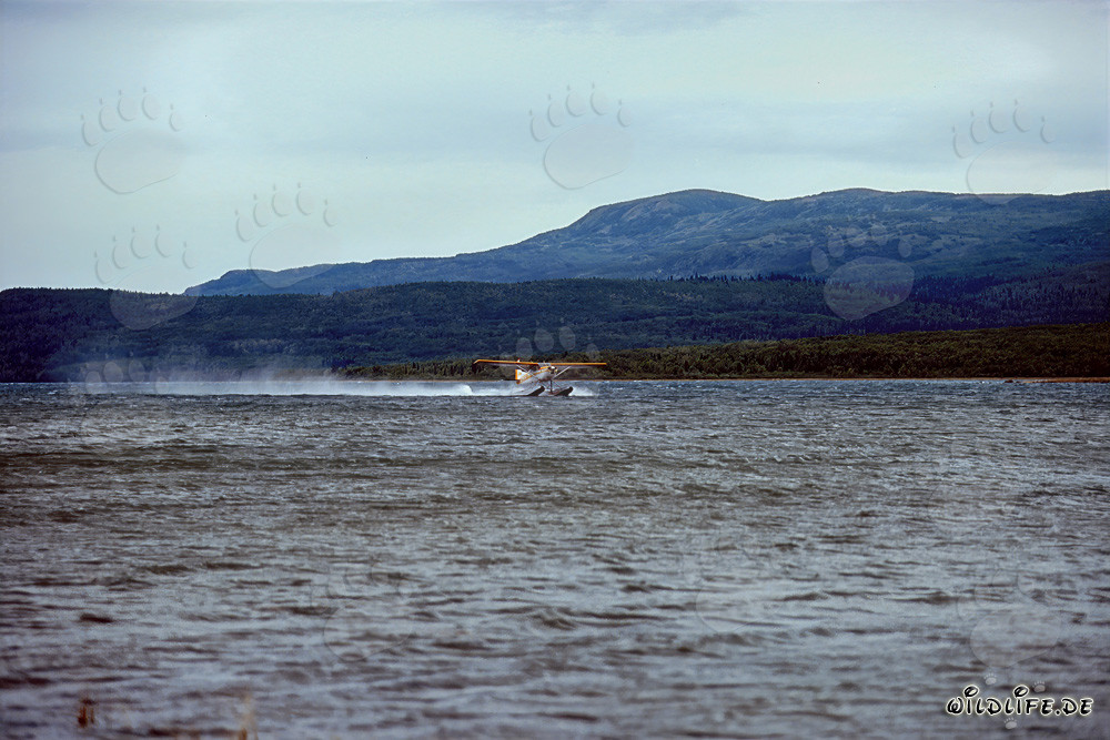Hidroavión en el río Brooks en el remoto Parque Nacional de Katmai en Alaska