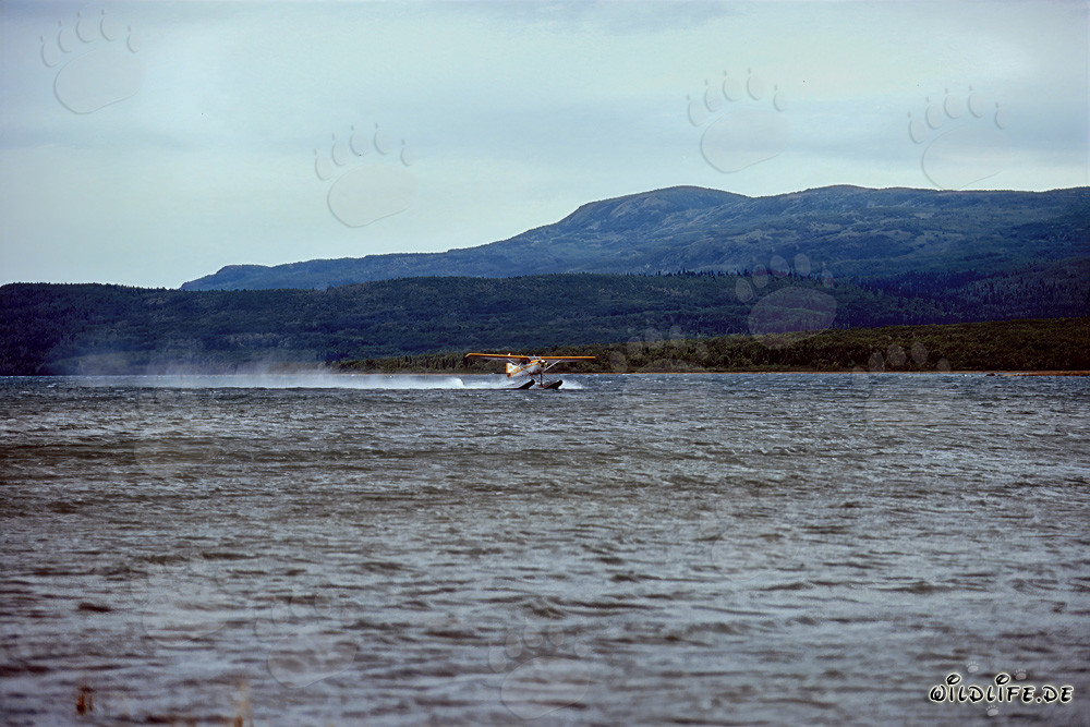 Idrovolante sul fiume Brooks nel remoto Parco Nazionale di Katmai in Alaska