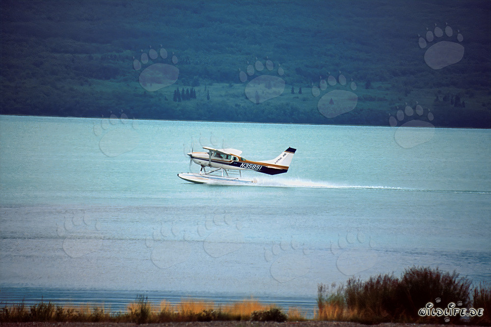 Start eines Wasserflugzeugs in den entlegenen Wildnisgebieten Alaskas
