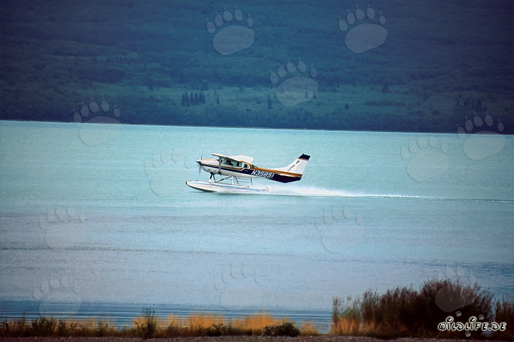Takeoff of a water plane in the remote wilderness areas of Alaska