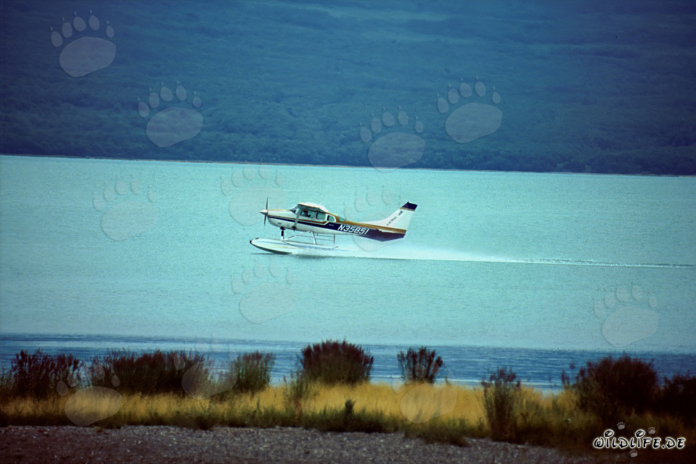 Abenteuer mit dem Buschflugzeug in Alaska