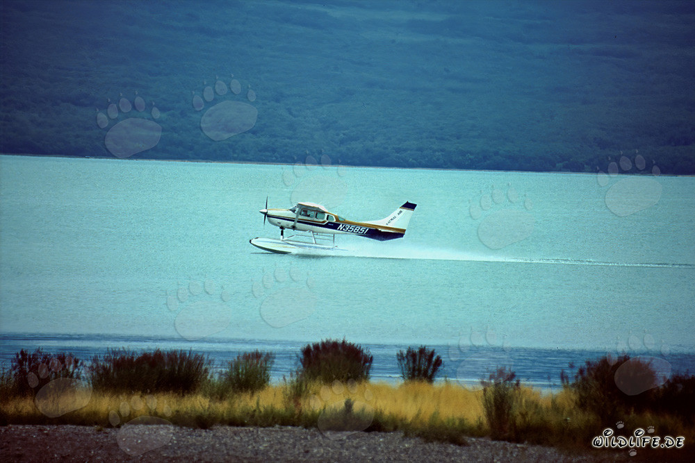 Adventure with the Bush Plane in Alaska