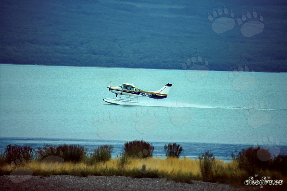 Aventura en hidroavión en Alaska