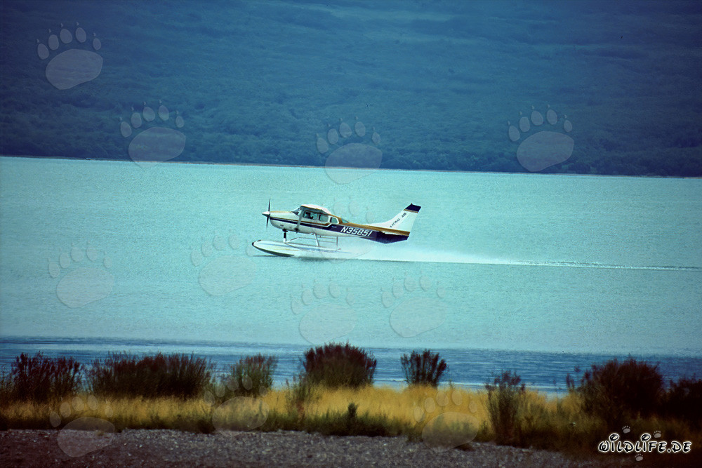 Aventure en hydravion en Alaska