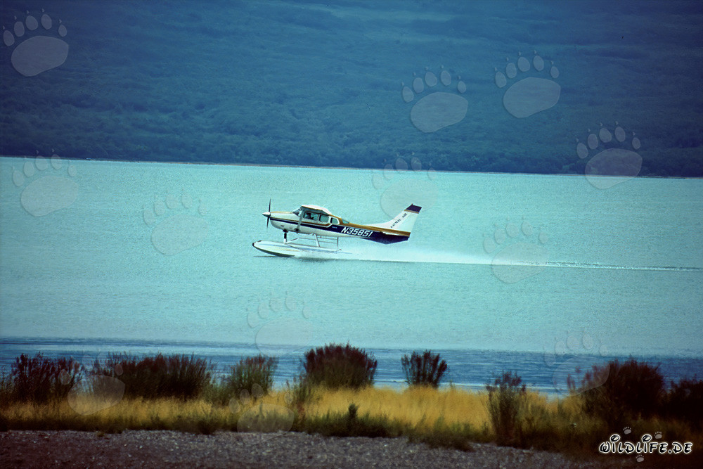 Avventura in idrovolante in Alaska