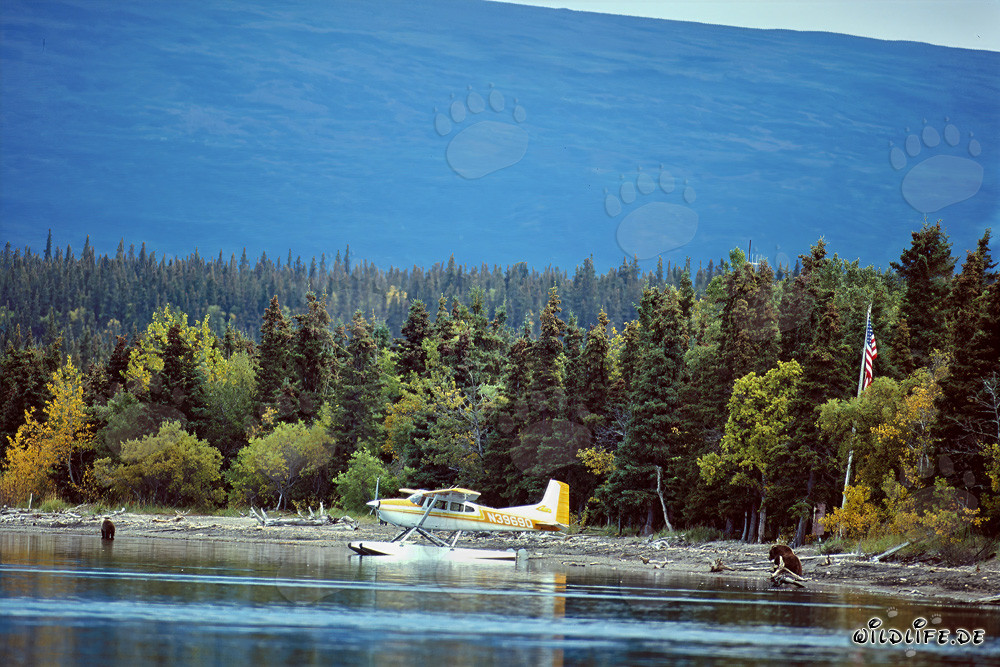 Abenteuer mit dem Buschflugzeug in Alaska