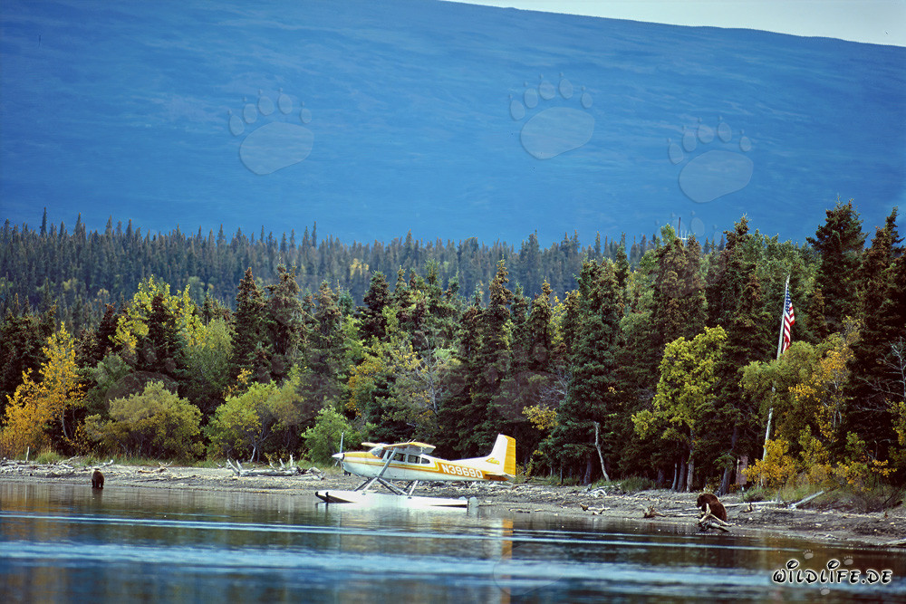 Adventure with a Bush Plane in Alaska