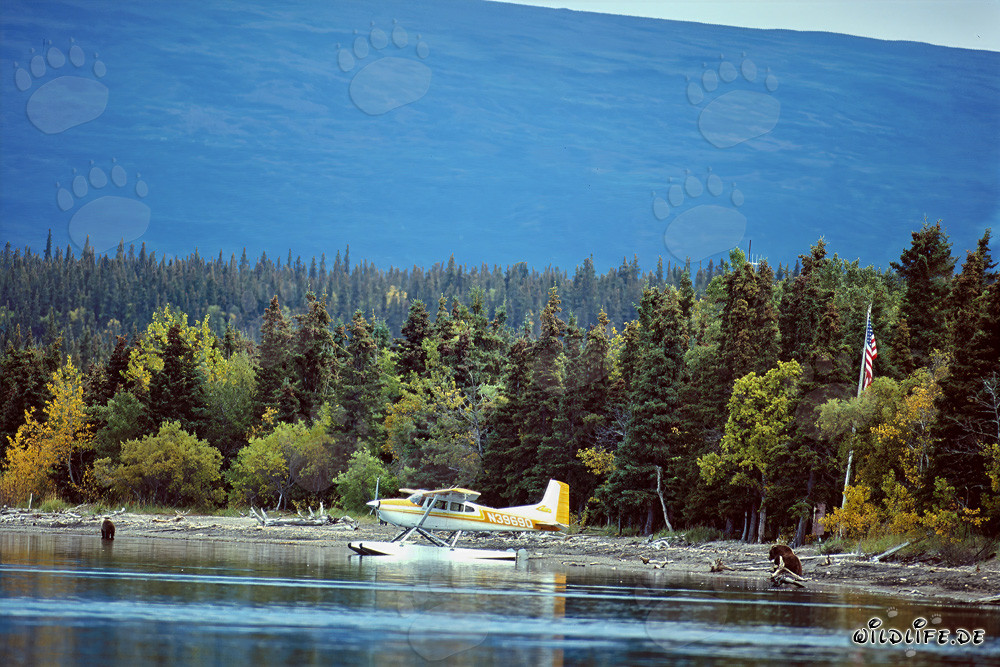 Aventura en hidroavión en Alaska