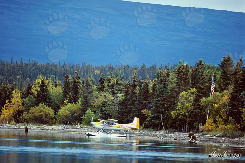 Aventure en hydravion en Alaska
