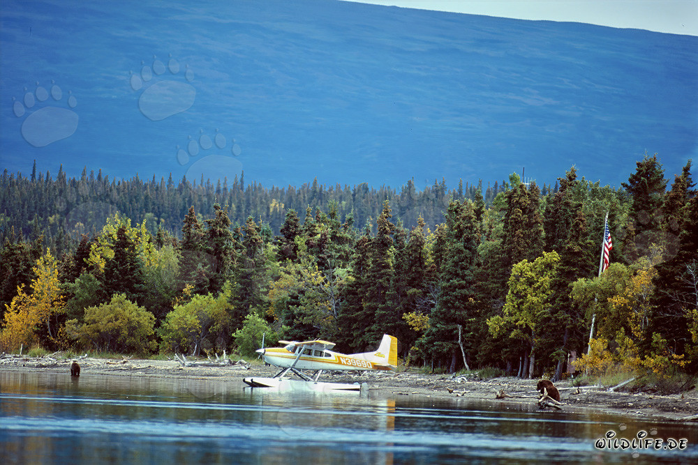 Avventura in idrovolante in Alaska