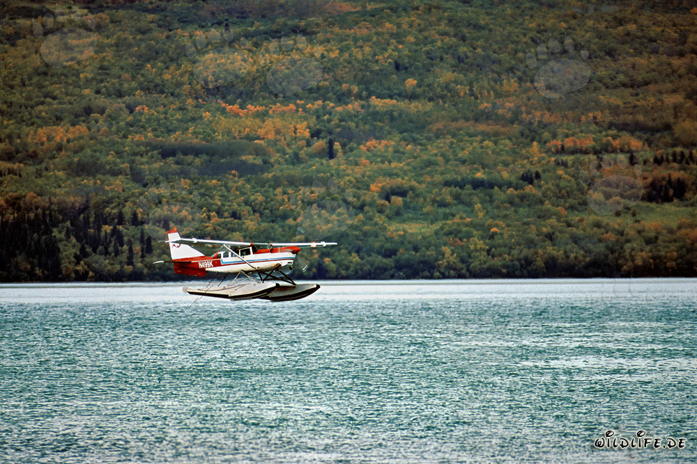 Aereo da bush in Alaska sopra il fiume Brooks