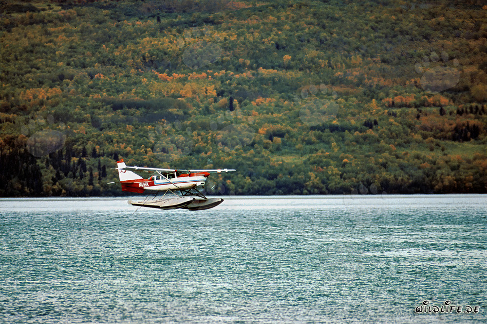 Avion brousse en Alaska au-dessus de la rivière Brooks