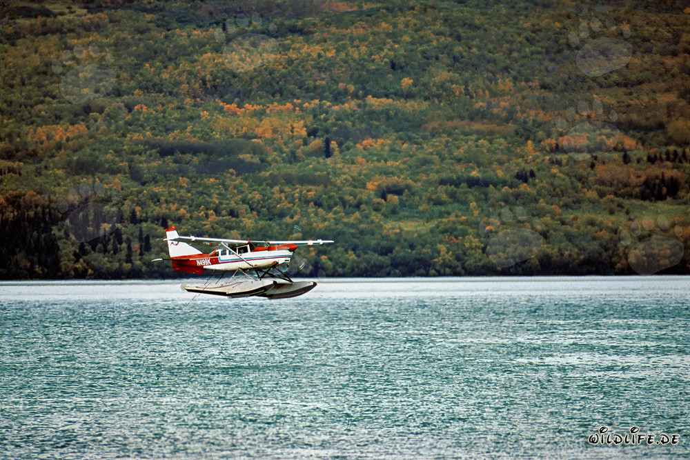 Avión de bush en Alaska sobre el río Brooks