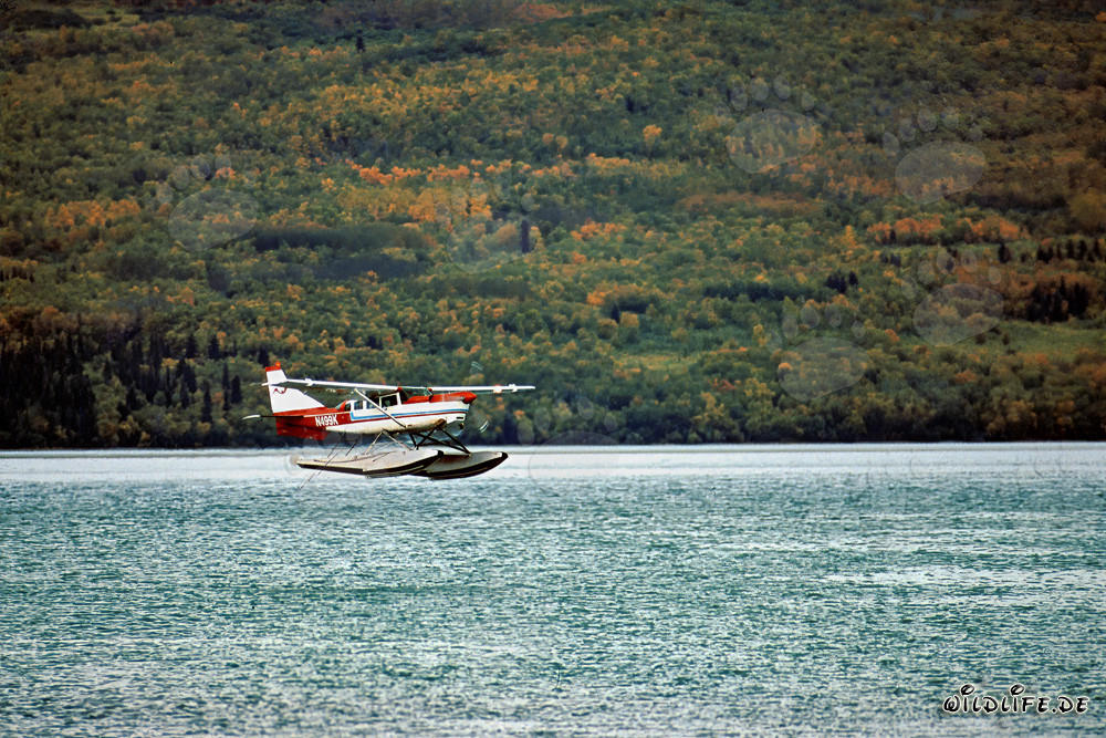 Buschflugzeug in Alaska über dem Brooks River