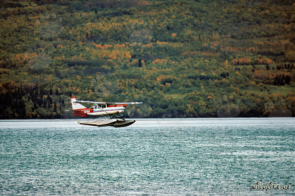Bush Plane in Alaska Above Brooks River