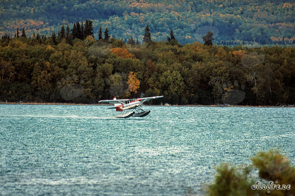 Aereo da bush atterra sul fiume Brooks in Alaska