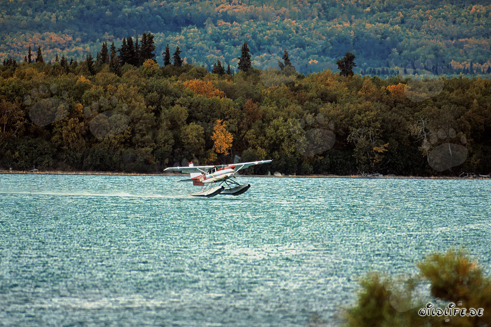 Avion brousse atterrit à la rivière Brooks en Alaska