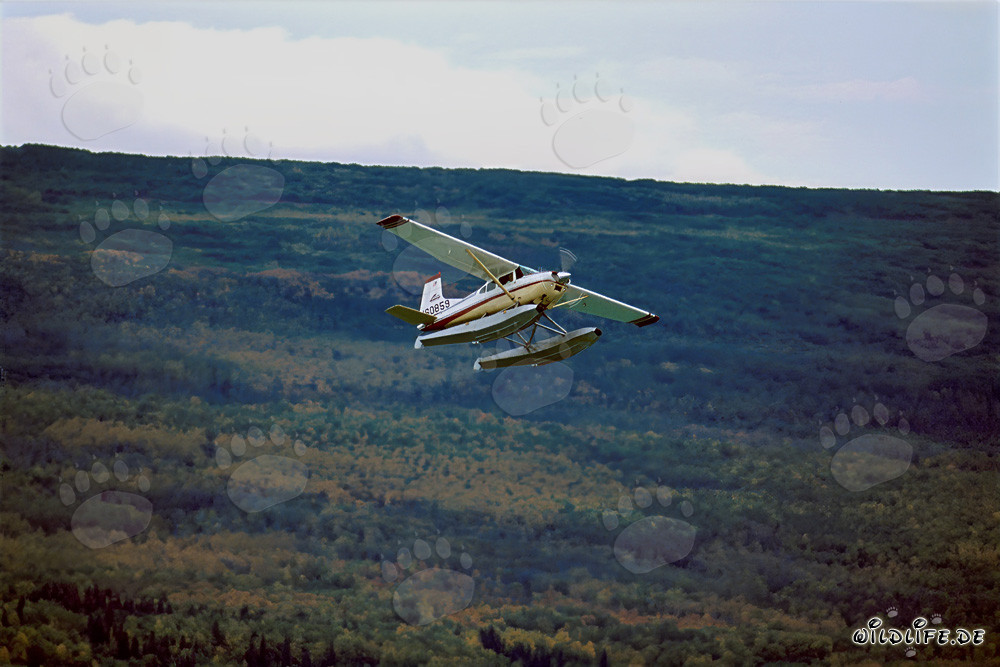 Aereo da bush in Alaska sopra il fiume Brooks