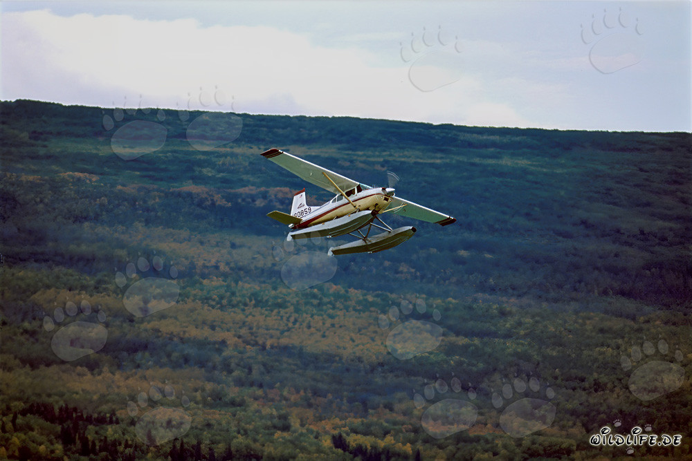 Avión de arbustos en Alaska sobre el río Brooks