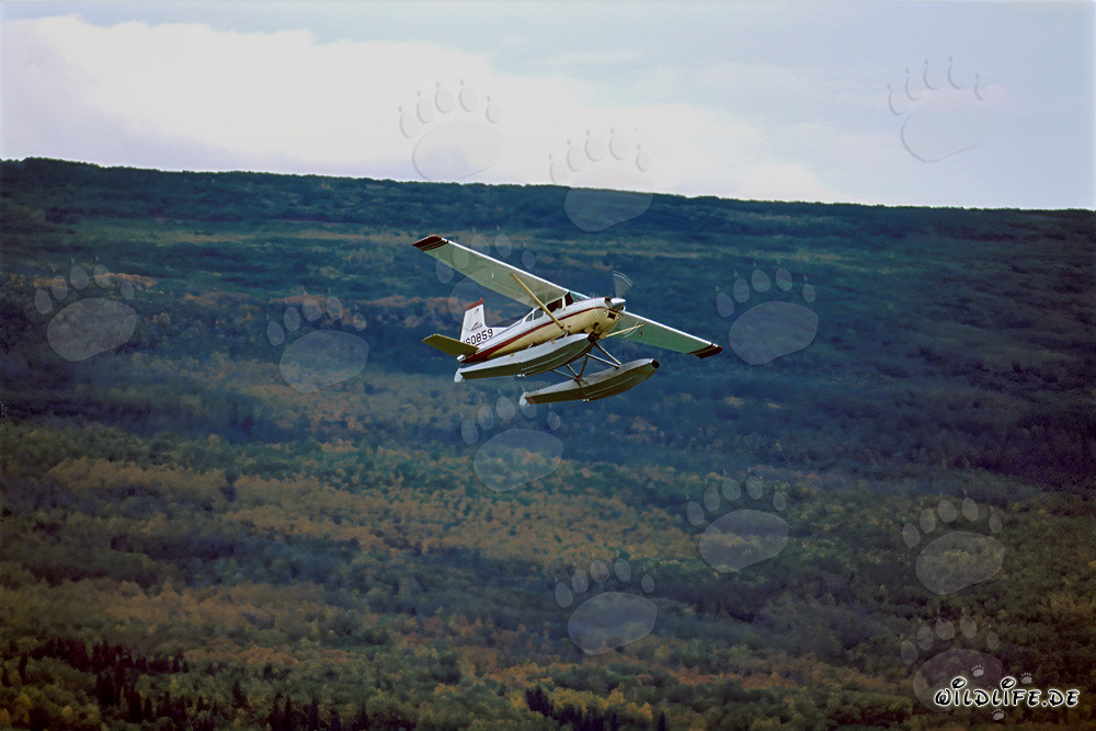 Avion brousse en Alaska au-dessus de la rivière Brooks