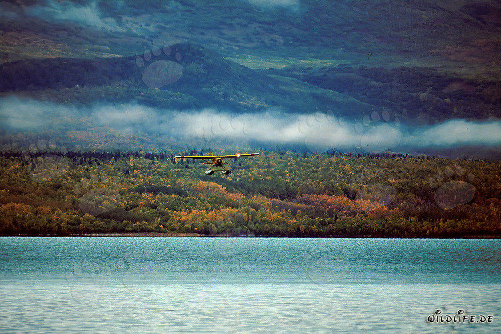 Aereo da bosco in Alaska sopra il fiume Brooks