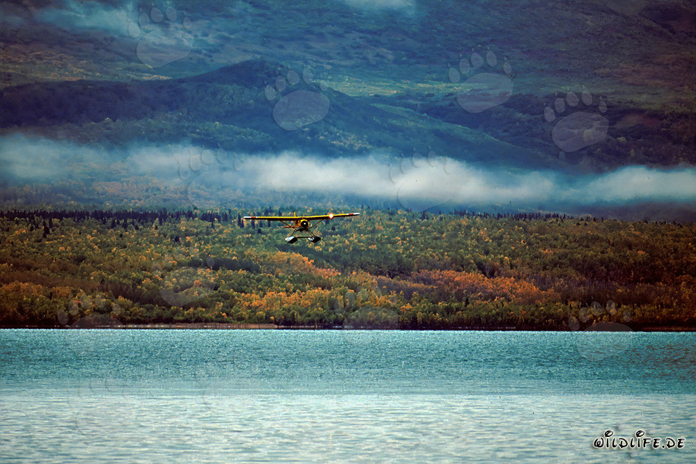 Avión de arbusto en Alaska sobre el río Brooks