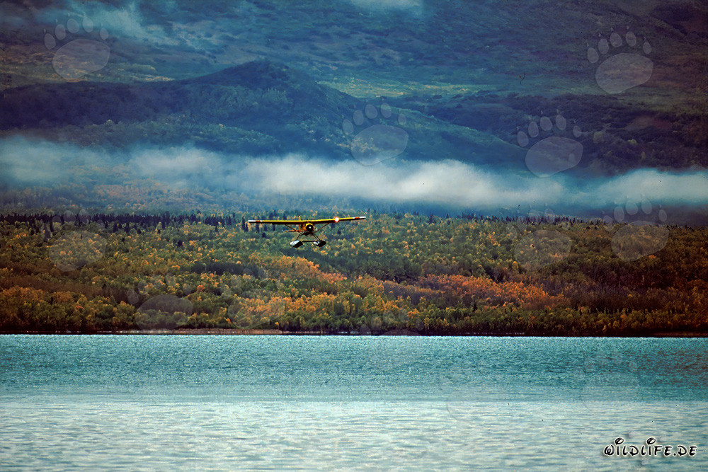 Bush Plane in Alaska over Brooks River