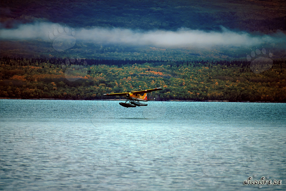 Aereo da bush nella natura dell'Alaska