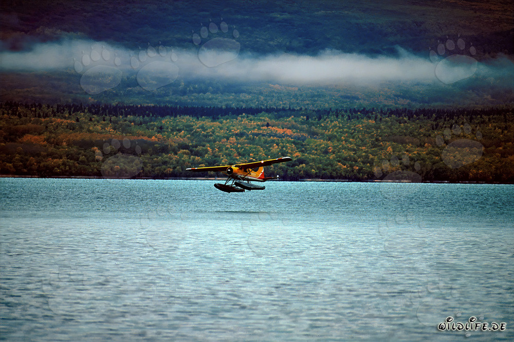Avión de arbusto en la naturaleza de Alaska