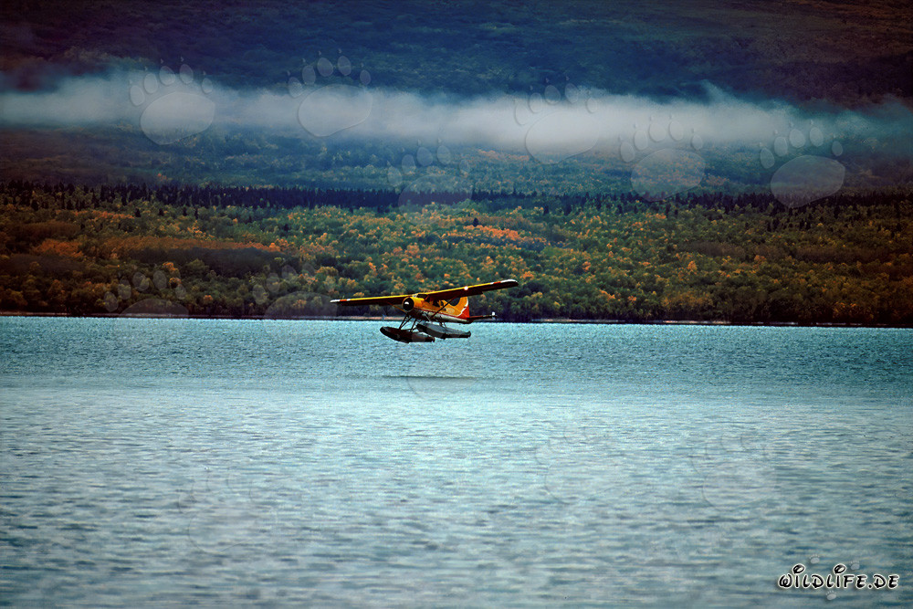 Avion brousse en Alaska sauvage