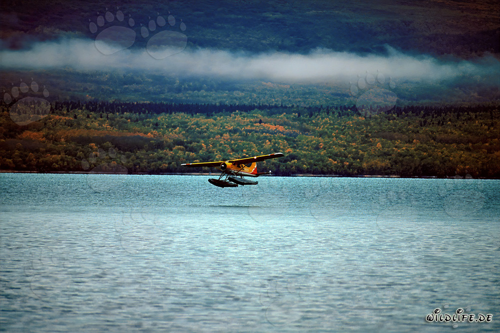 Buschflugzeug in der Wildnis von Alaska