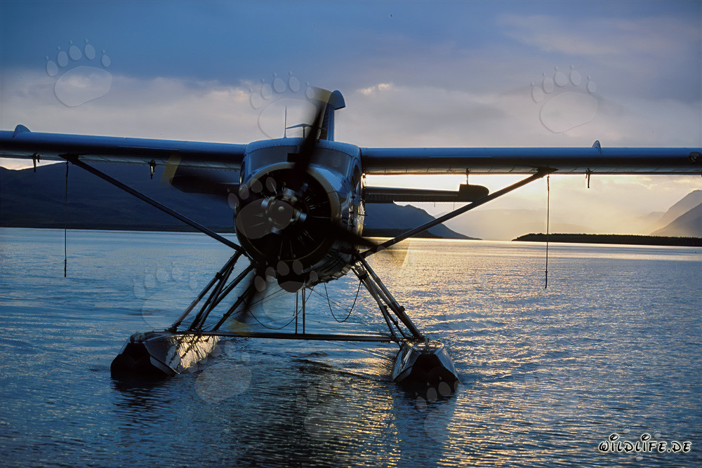 Avion amphibie prêt au décollage vers le fleuve Brooks