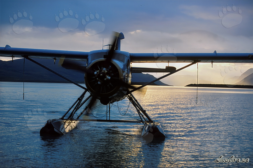 Hidroavión listo para despegar hacia el río Brooks
