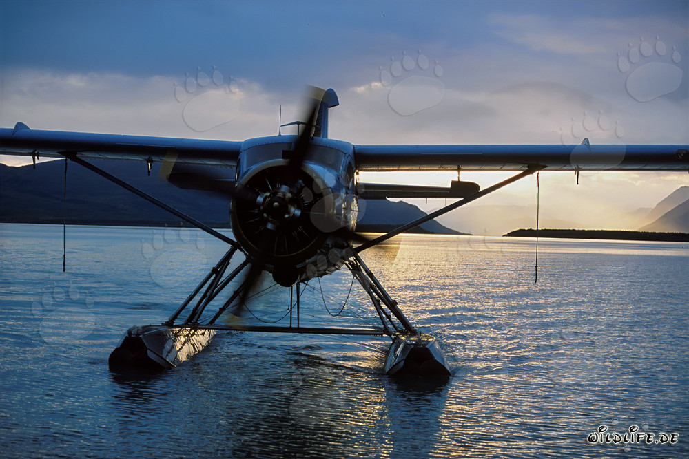 Wasserflugzeug vor dem Start zum Brooks River