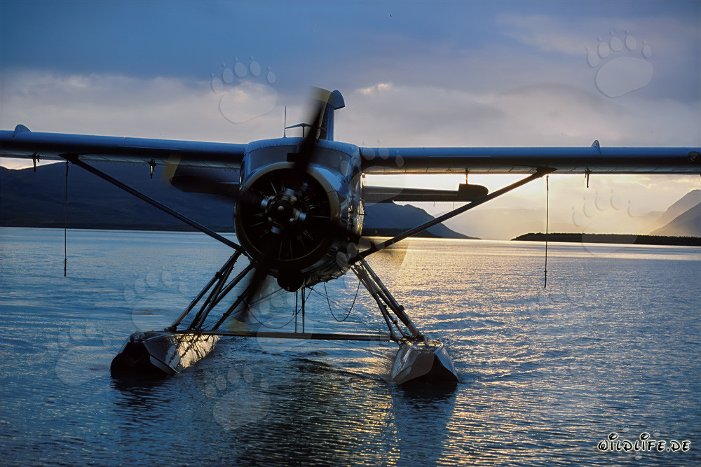 Water Plane Before Taking Off to Brooks River