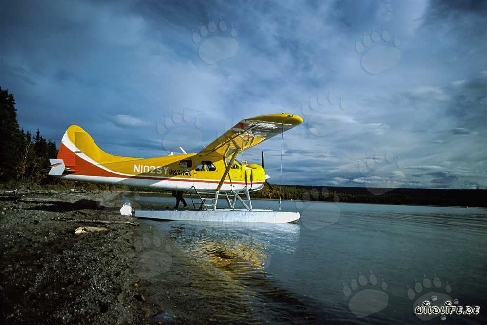 Wasserflugzeug am Brooks River