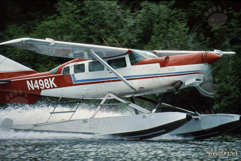 Aereo da bush maestoso in decollo in Alaska