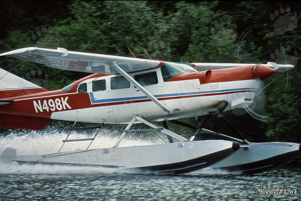 Avión de bush majestuoso despegando en Alaska