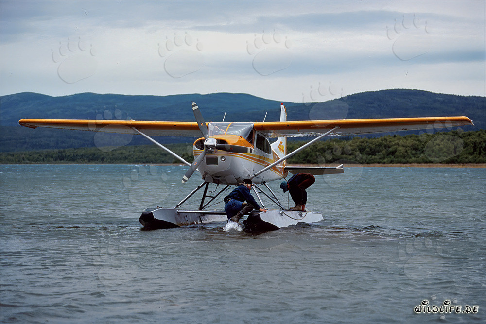 Aereo da bush atterra nella remota area di Katmai-Backcountry