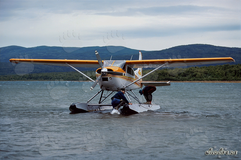 Avion de brousse atterrit dans la région éloignée de Katmai-Backcountry