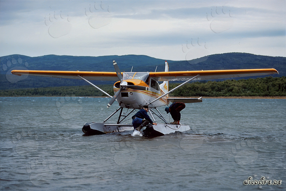 Avión de bush aterriza en el remoto Katmai-Backcountry