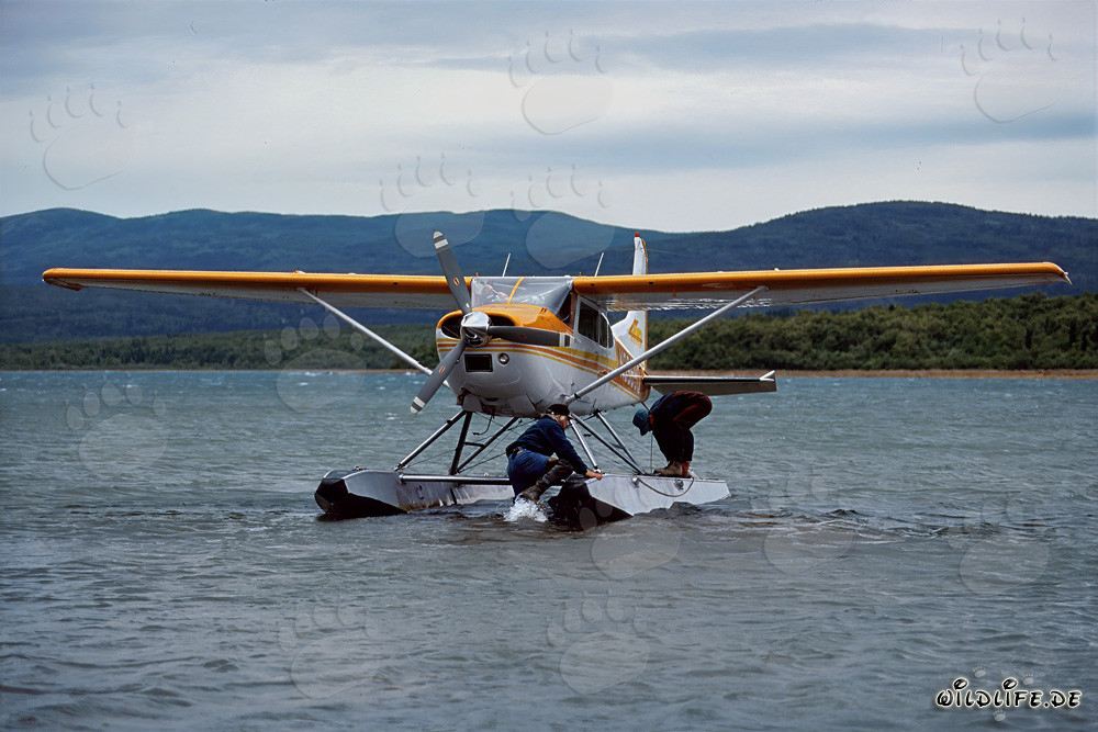 Buschflugzeug landet im abgelegenen Katmai-Backcountry