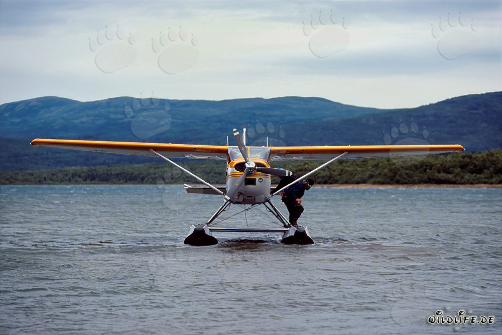 Aventura en hidroavión en la naturaleza salvaje de Alaska