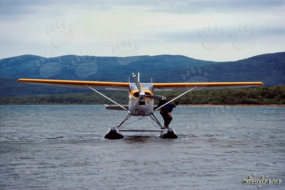 Avventura con l'idrovolante nella natura selvaggia dell'Alaska