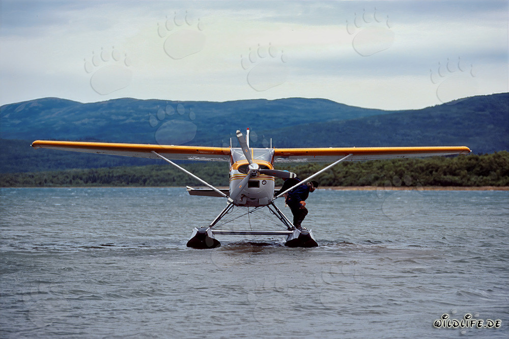 Abenteuer mit dem Wasserflugzeug in der Wildnis Alaskas