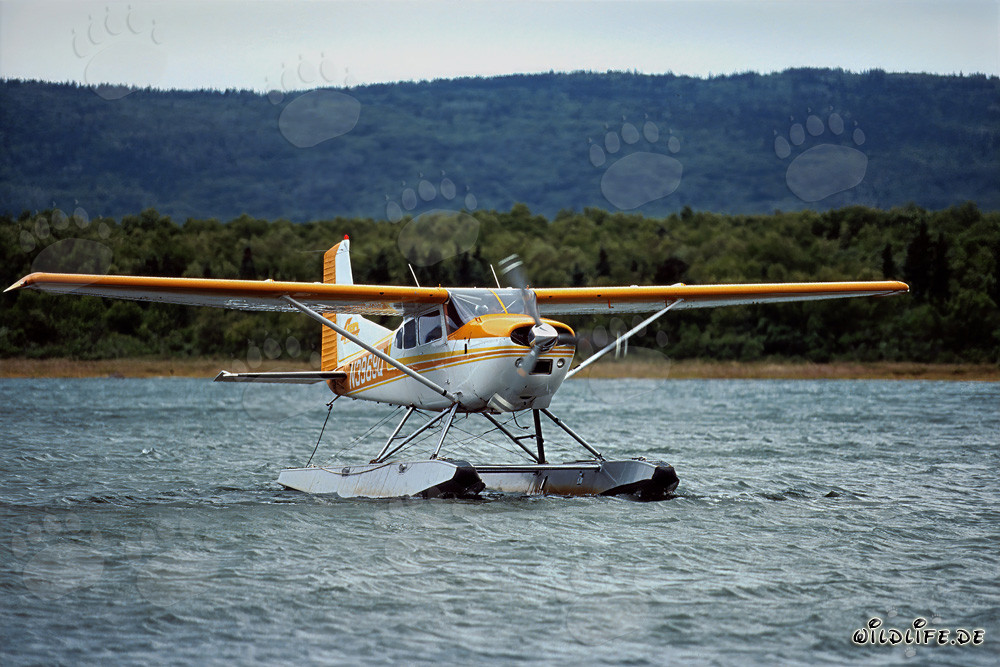 Adventure with the Bush Plane in Alaska