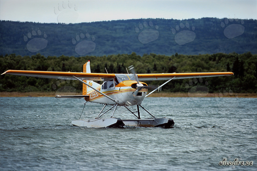 Aventura en hidroavión en Alaska