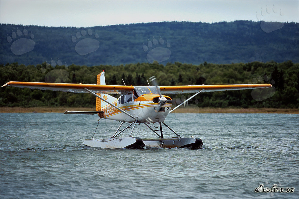 Avventura in idrovolante in Alaska